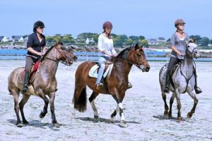 monter à cheval proche du camping seasonova