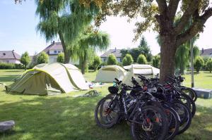 camping d'Alsace emplacement