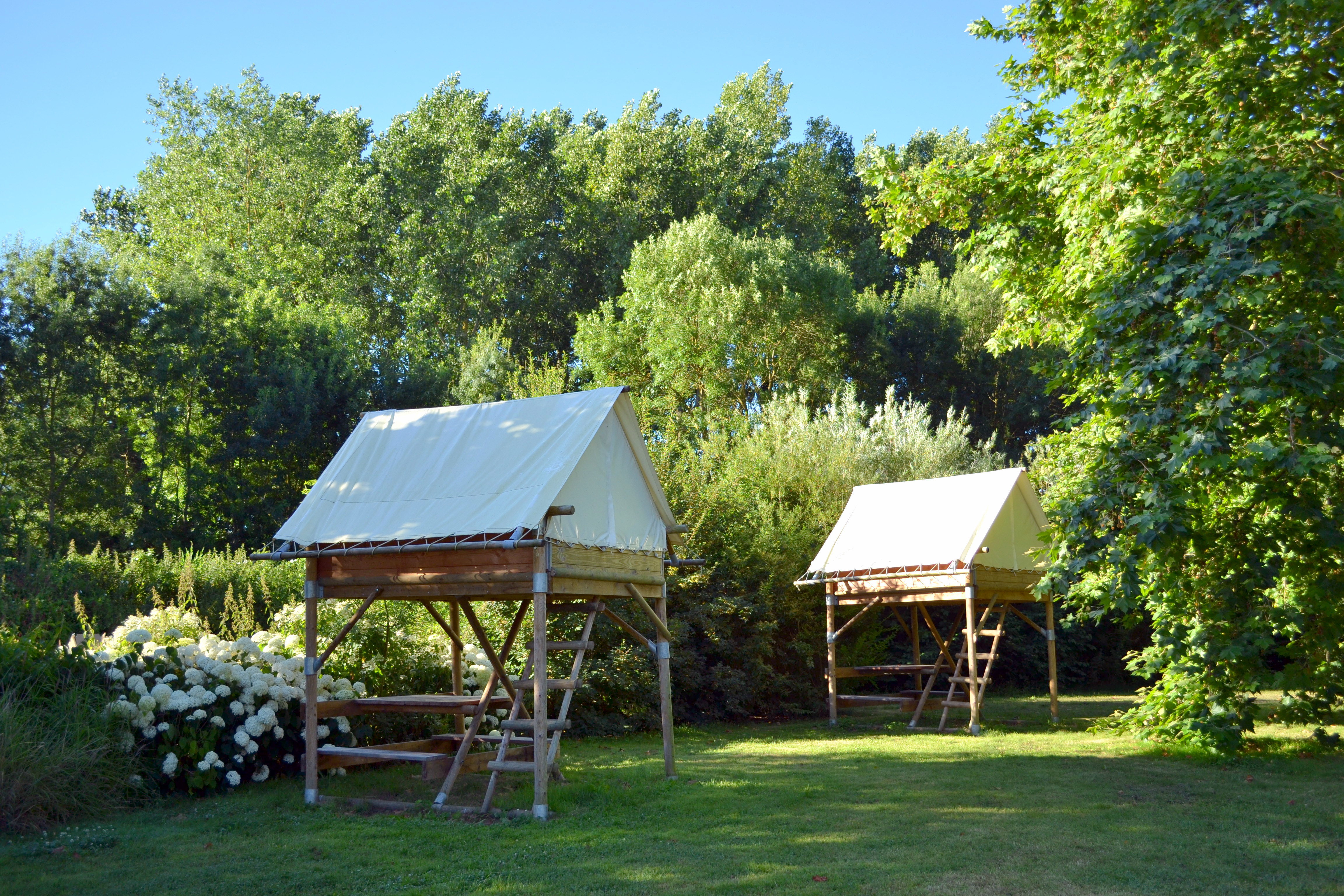 Camping Les Plages De Loire à Rochefort Sur Loire Camping