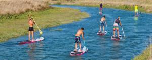 paddle
