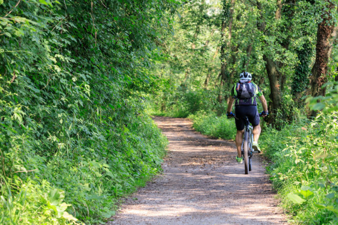 Cycliste sur un chemin bordé d’arbres