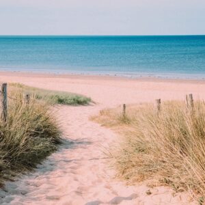 Chemin de sable entre les herbes des dunes menant à une plage et à la mer turquoise.