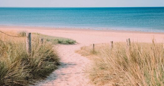 Chemin de sable entre les herbes des dunes menant à une plage et à la mer turquoise.